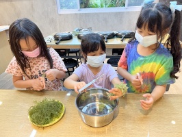 113.06.06一忠食農課-涼拌珊瑚菜:IMG_9651