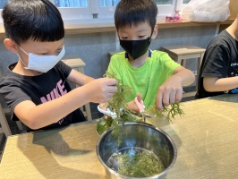 113.06.06一忠食農課-涼拌珊瑚菜:IMG_9652