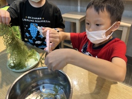 113.06.06一忠食農課-涼拌珊瑚菜:IMG_9654