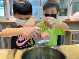 113.06.06一忠食農課-涼拌珊瑚菜:IMG_9662