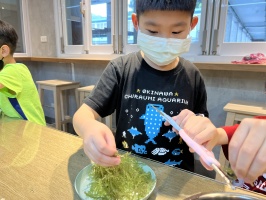 113.06.06一忠食農課-涼拌珊瑚菜:IMG_9664
