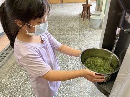 113.06.06一忠食農課-涼拌珊瑚菜:IMG_9675