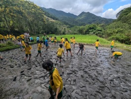 113.09.26二忠食米學園計畫_頭城休閒農場:PXL_20240926_062408120