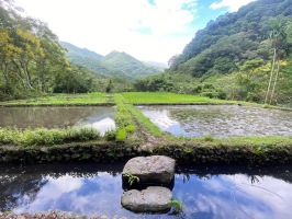 113.09.26四忠宜蘭頭城農場:IMG_3493