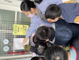 114.02.21 三忠校園防疫及口腔保健宣導:IMG_9853