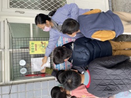 114.02.21 三忠校園防疫及口腔保健宣導:IMG_9854