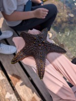 114.06.23龍洞灣浮潛活動:PXL_20250623_032232572